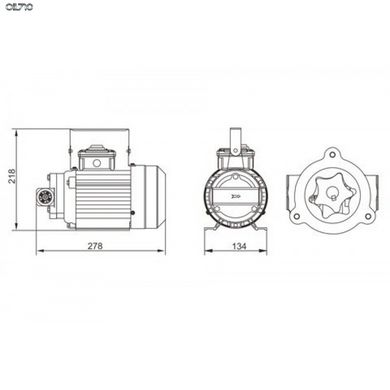 Насос маслоперекачивающий REWOLT 220В (RE SL70-E)