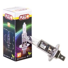 Лампа PULSO/галогенна H1/P14.5S 12v55w clear/c/box (LP-11550)